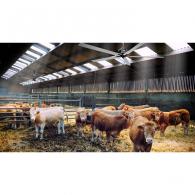 Ventilateur Plafond Agricole